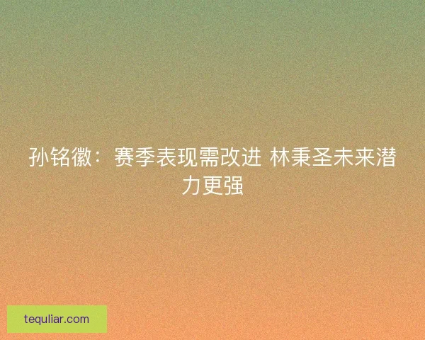 孙铭徽：赛季表现需改进 林秉圣未来潜力更强