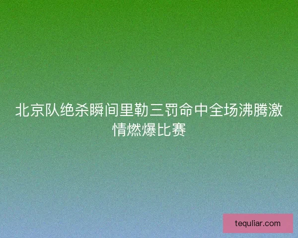北京队绝杀瞬间里勒三罚命中全场沸腾激情燃爆比赛