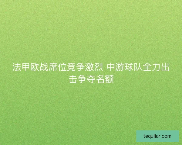 法甲欧战席位竞争激烈 中游球队全力出击争夺名额