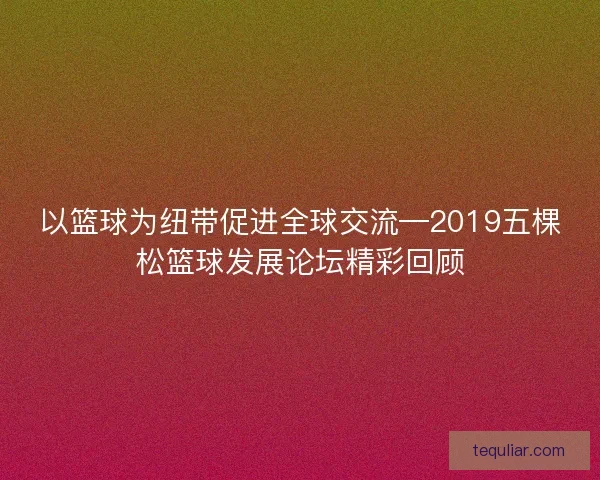 以篮球为纽带促进全球交流—2019五棵松篮球发展论坛精彩回顾 以篮球为纽带促进全球交流—2019五棵松篮球发展论坛精彩回顾