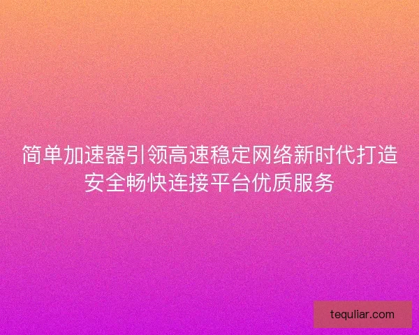 简单加速器引领高速稳定网络新时代打造安全畅快连接平台优质服务